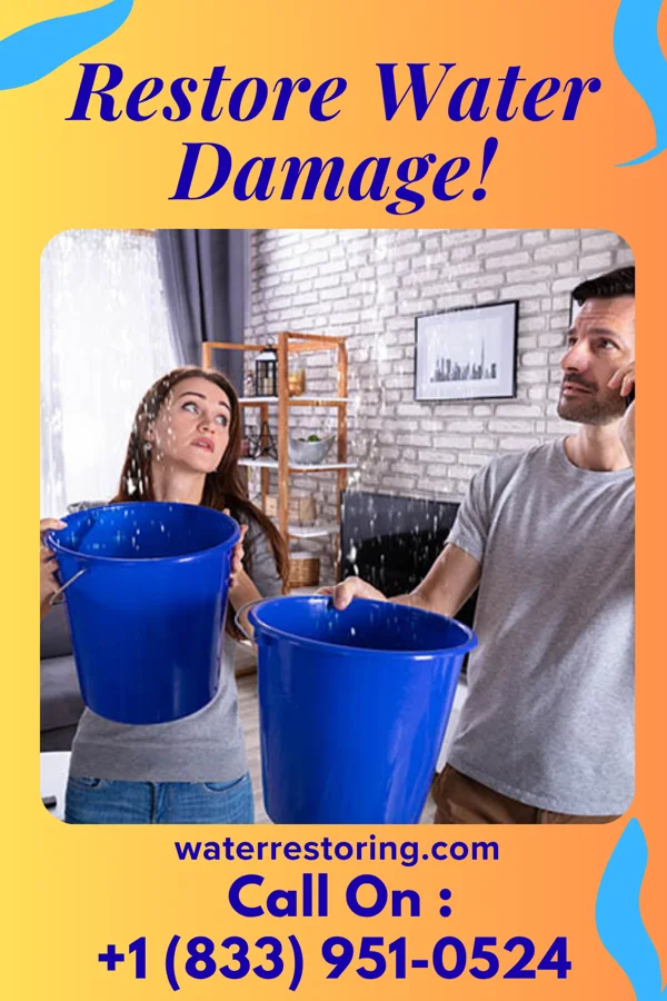 water restoration North Sewage Cleanup Pros Kensington